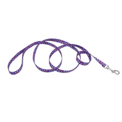 Ryan's Pet Supplies Coastal Nylon Leads 4' X 1''
