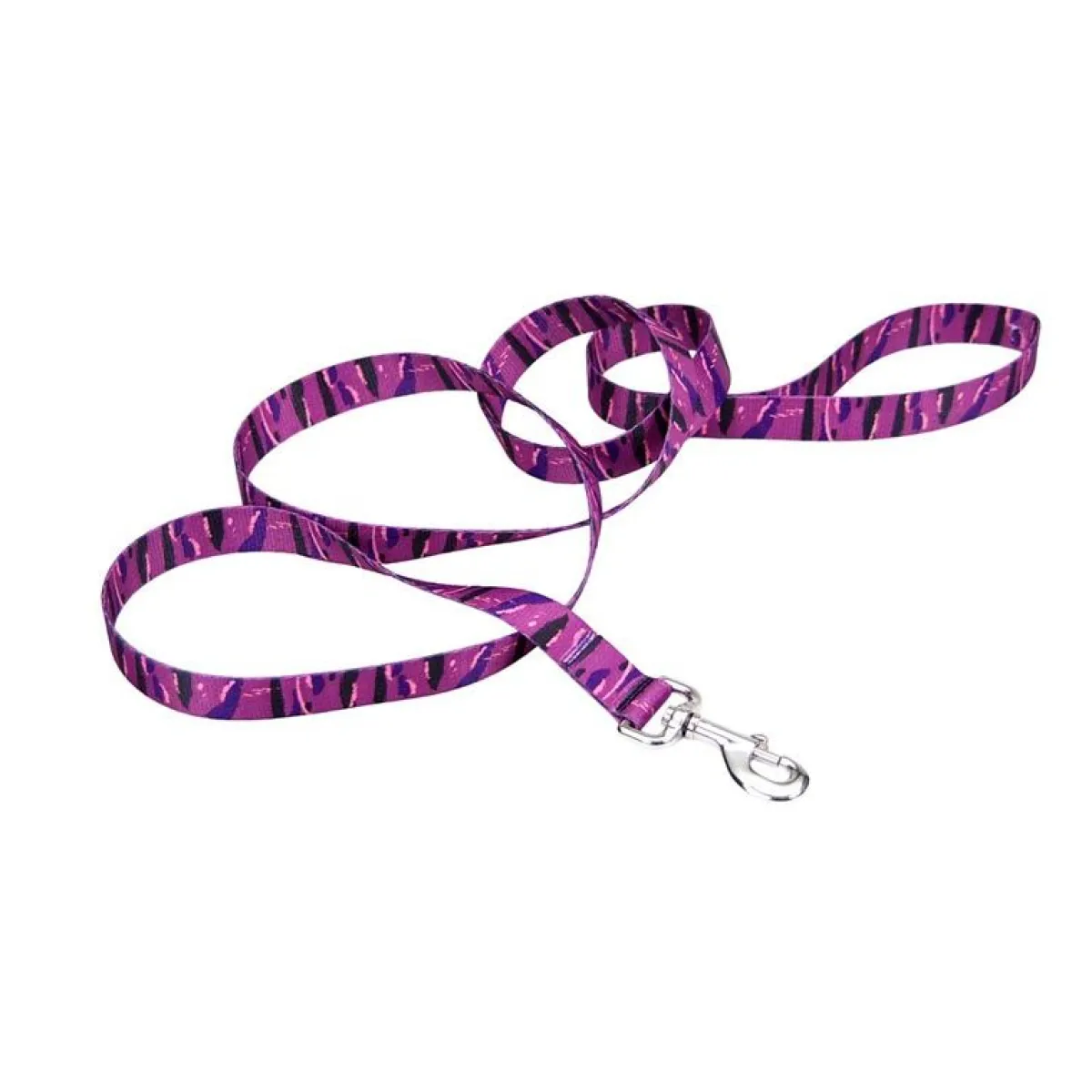 Ryan's Pet Supplies Coastal Nylon Leads 4' X 1''