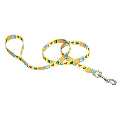 Ryan's Pet Supplies Coastal Nylon Leads 4' X 1''
