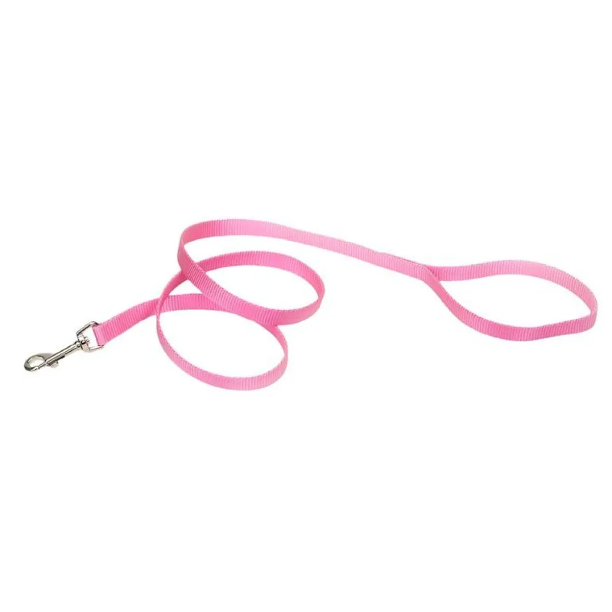 Ryan's Pet Supplies Coastal Nylon Leads 4' X 5/8''