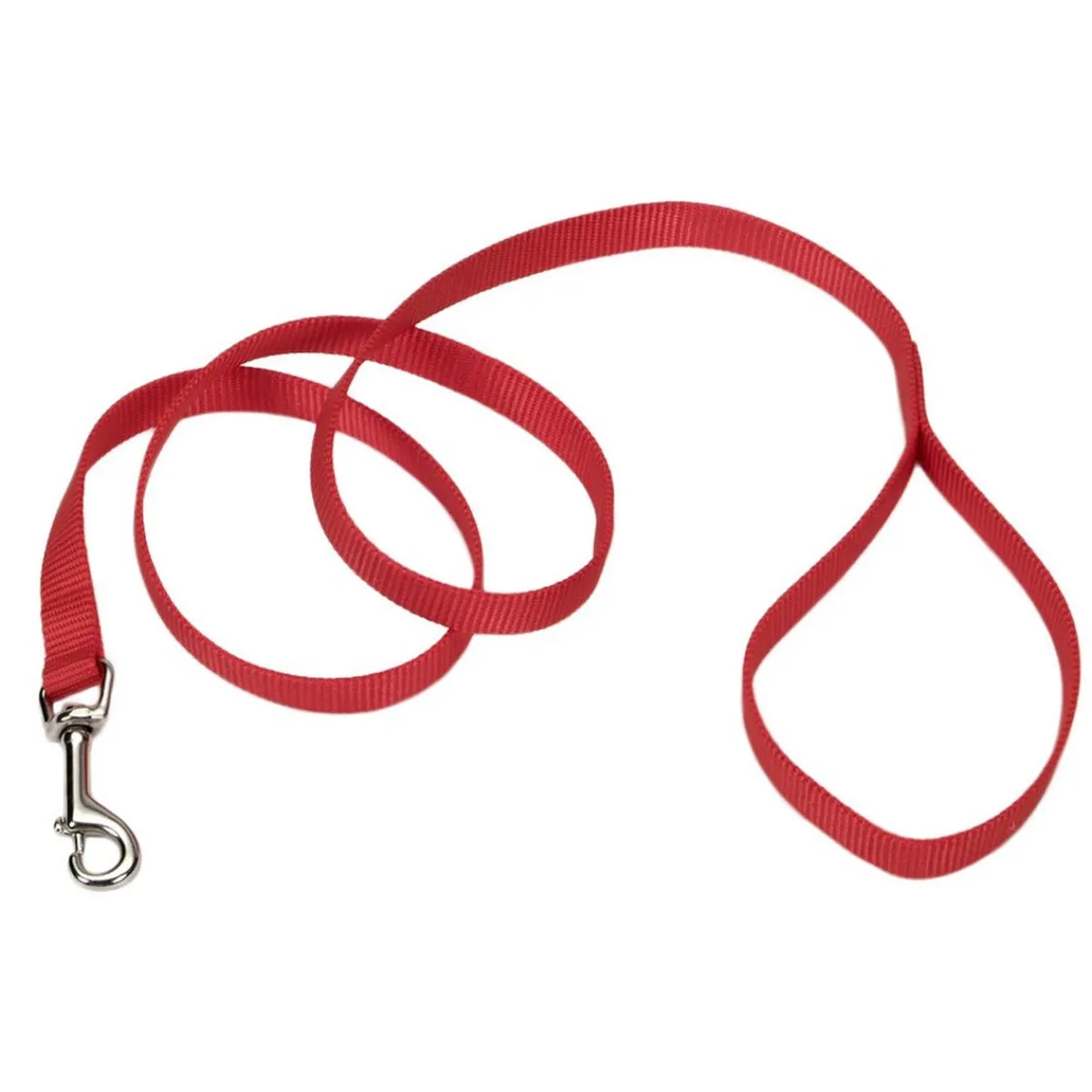 Ryan's Pet Supplies Coastal Nylon Leads 4' X 5/8''