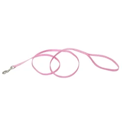 Ryan's Pet Supplies Coastal Nylon Leads 4' X 3/8''