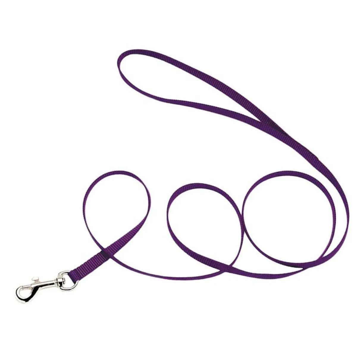 Ryan's Pet Supplies Coastal Nylon Leads 4' X 3/8''