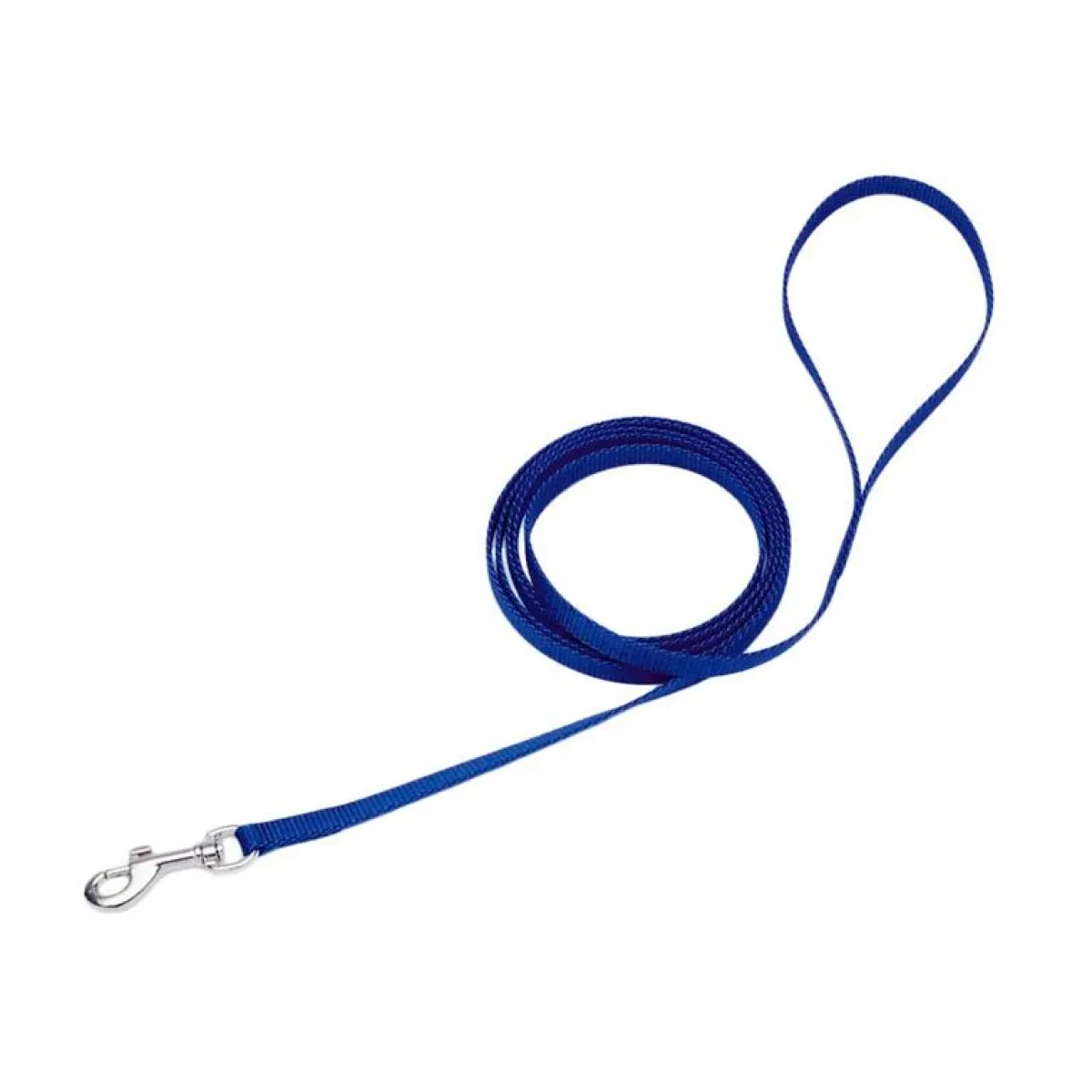 Ryan's Pet Supplies Coastal Nylon Leads 6' X 3/8''