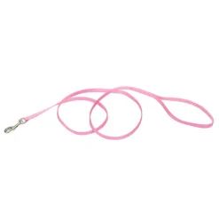 Ryan's Pet Supplies Coastal Nylon Leads 6' X 3/8''