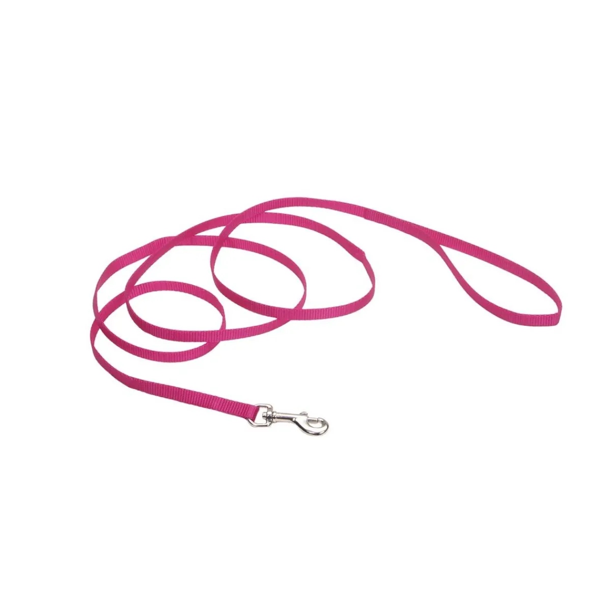 Ryan's Pet Supplies Coastal Nylon Leads 6' X 3/8''