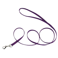 Ryan's Pet Supplies Coastal Nylon Leads 6' X 3/8''