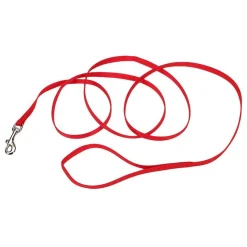 Ryan's Pet Supplies Coastal Nylon Leads 6' X 3/8''