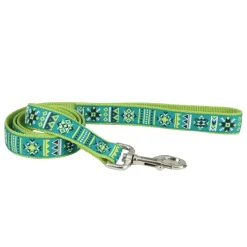 Ryan's Pet Supplies Coastal Ribbon Dog Leash 5/8" x 6'
