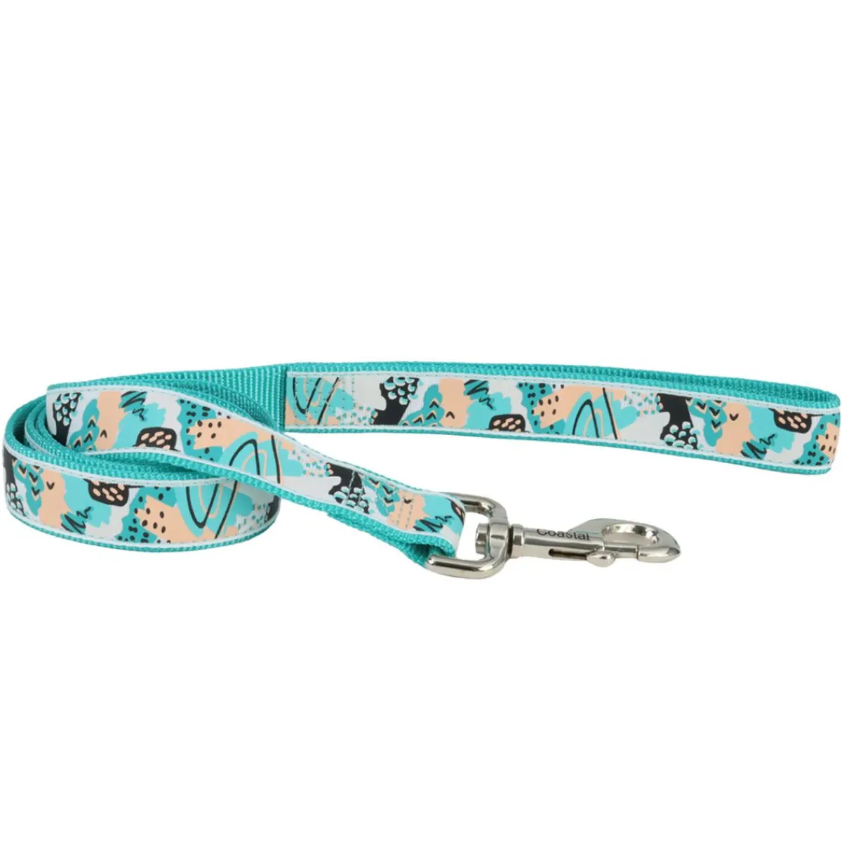 Ryan's Pet Supplies Coastal Single-Ply Ribbon Dog Leash 1" x 6'