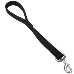 Ryan's Pet Supplies Coastal Traffic Lead 2 Ply 1" x 24"