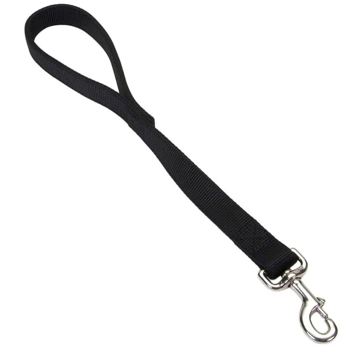 Ryan's Pet Supplies Coastal Traffic Lead 2 Ply 1" x 24"
