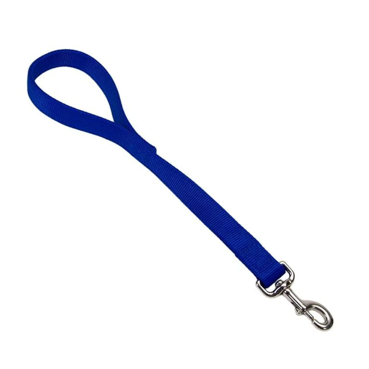 Ryan's Pet Supplies Coastal Traffic Lead 2 Ply 1" x 24"