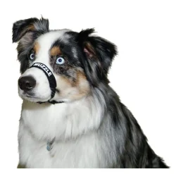Ryan's Pet Supplies Comfort Muzzle Large/Black 16"-24"