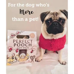 Ryan's Pet Supplies Exclusively Dog Perfect Pooch Gift Pack
