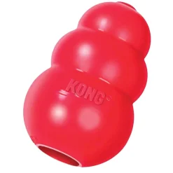 Ryan's Pet Supplies Extra Large Red KONG®