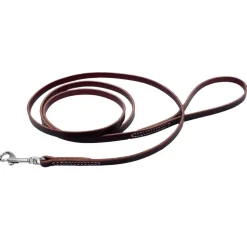 Ryan's Pet Supplies Flat Latigo Training Lead 6 X 3/8