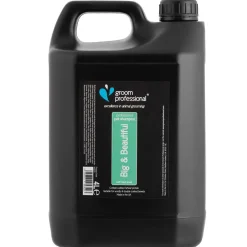 Ryan's Pet Supplies Groom Professional Big & Beautiful Volumising Shampoo