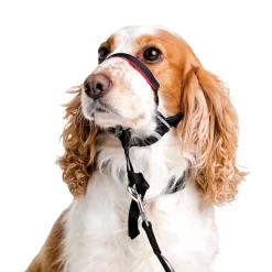 Ryan's Pet Supplies Halti Optifit Medium