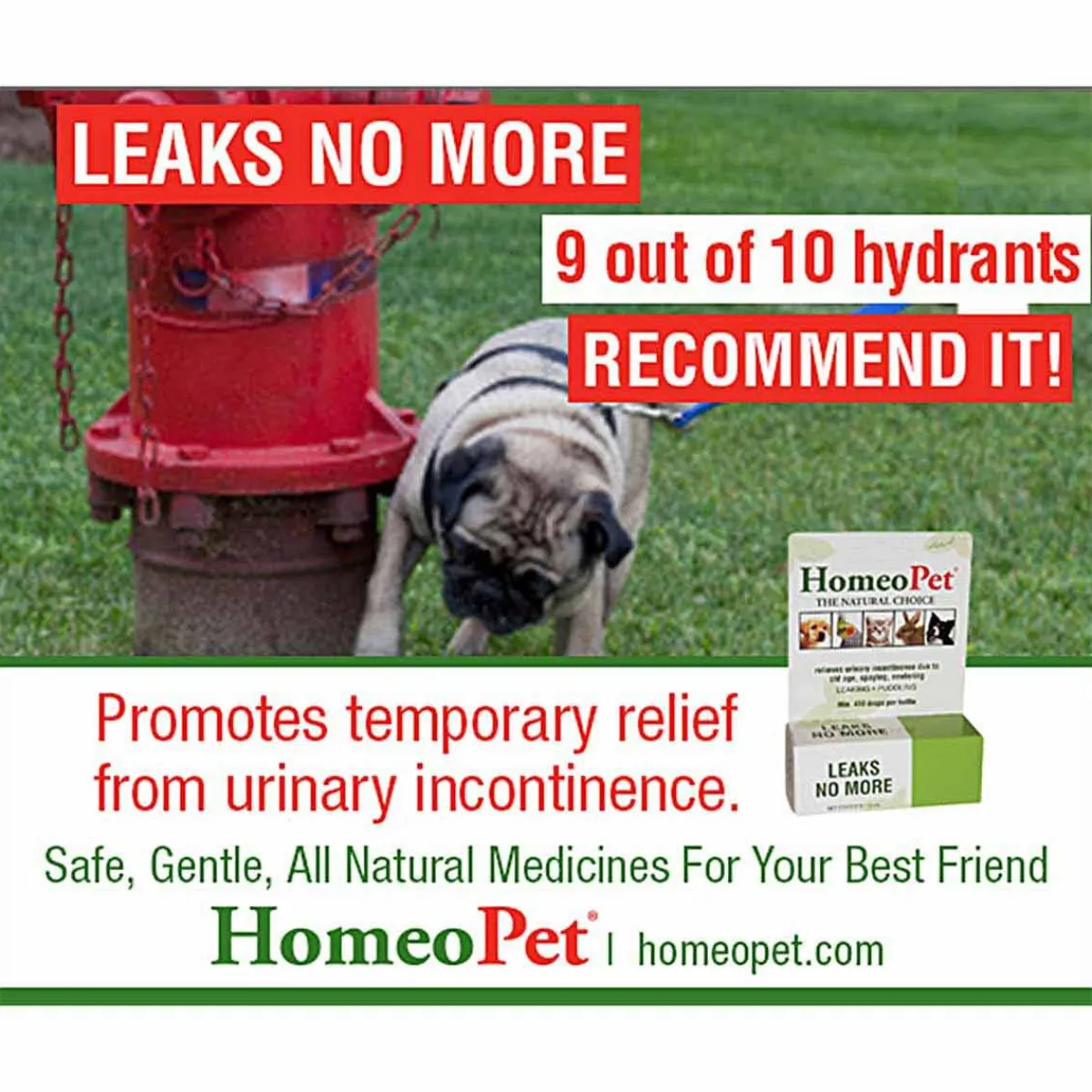 Ryan's Pet Supplies HomeoPet Leaks No More