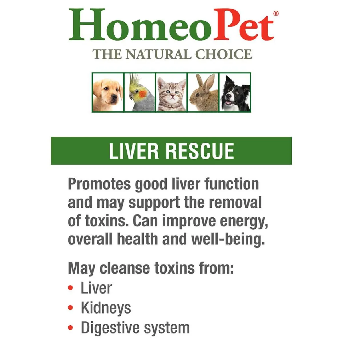 Ryan's Pet Supplies HomeoPet Liver Rescue