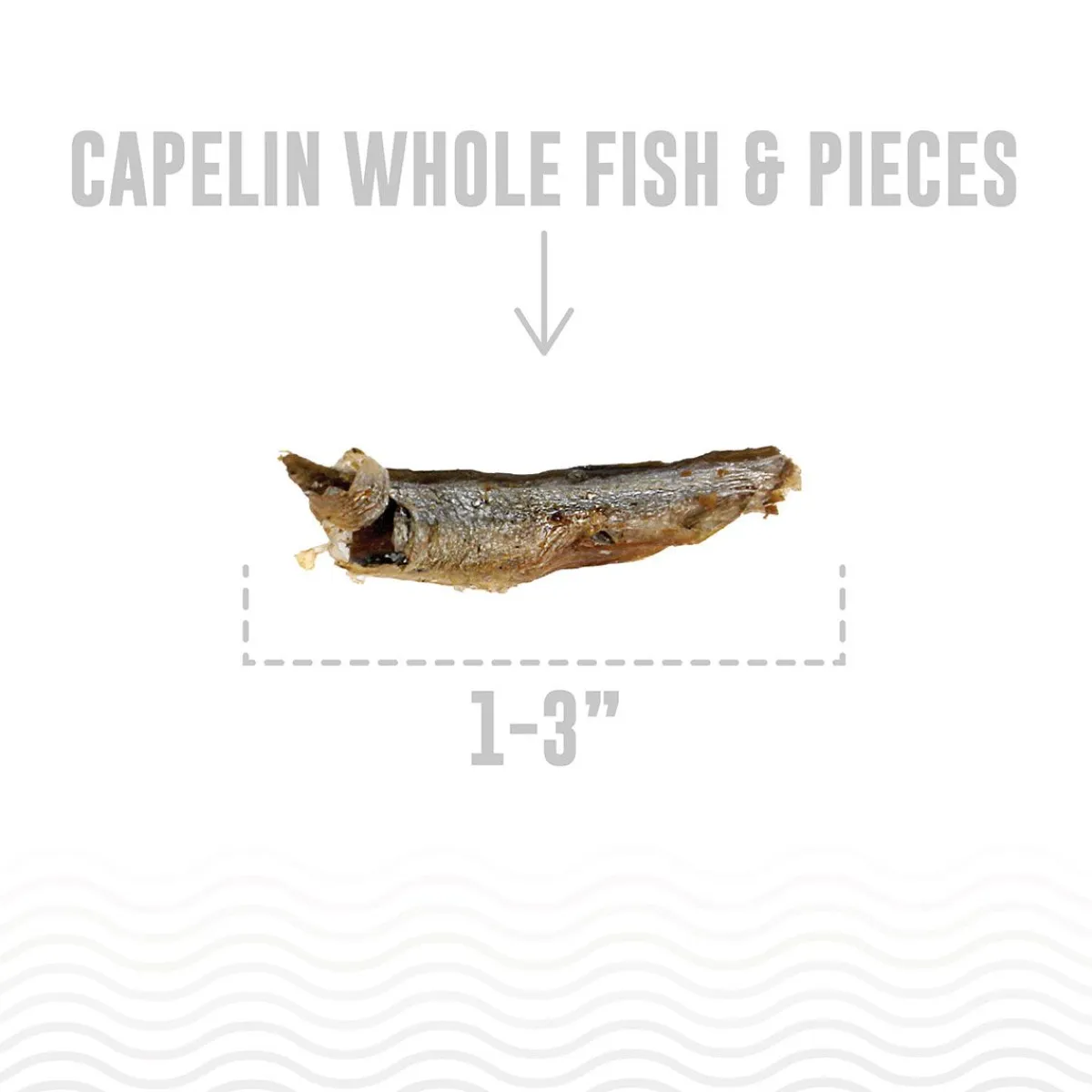 Ryan's Pet Supplies Icelandic+ Capelin Whole Fish & Pieces Pure Fish Treats