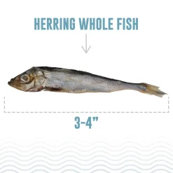Ryan's Pet Supplies Icelandic+ Herring Whole Fish Cat Treat