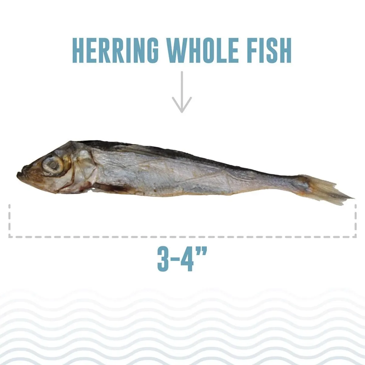 Ryan's Pet Supplies Icelandic+ Herring Whole Fish Cat Treat