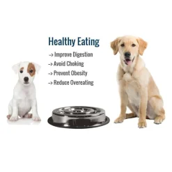 Ryan's Pet Supplies Indipets Spiral Slow Feed Small Bowl