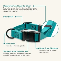 Ryan's Pet Supplies Jelly Pet BioThane® Dog Collar - Large (1" x 16''-24'')