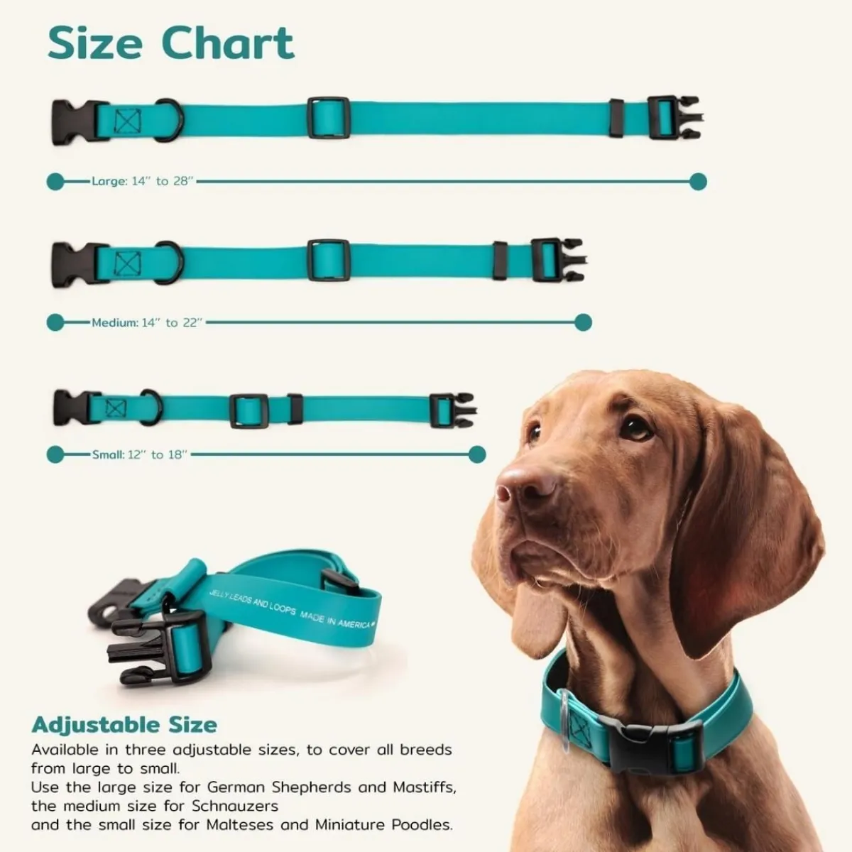Ryan's Pet Supplies Jelly Pet BioThane® Dog Collar - Medium 1'' x 13''-20''
