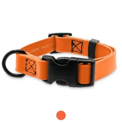 Ryan's Pet Supplies Jelly Pet BioThane® Dog Collar - Medium 1'' x 13''-20''