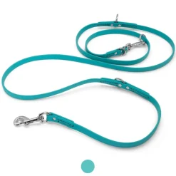 Ryan's Pet Supplies Jelly Pet Biothane Multi-Purpose Dog Leash - 5/8''