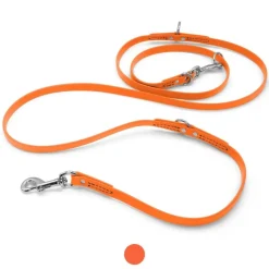 Ryan's Pet Supplies Jelly Pet Biothane Multi-Purpose Dog Leash 3/8''