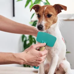 Ryan's Pet Supplies Jelly Pet Dog Bath Brush