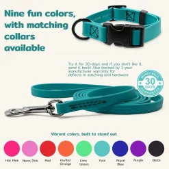 Ryan's Pet Supplies Jelly Pet Leash Standard Dog Leash 3/8'' x 6'