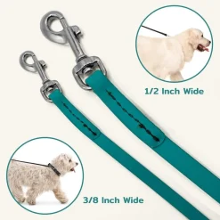 Ryan's Pet Supplies Jelly Pet Leash Standard Dog Leash 3/8'' x 6'