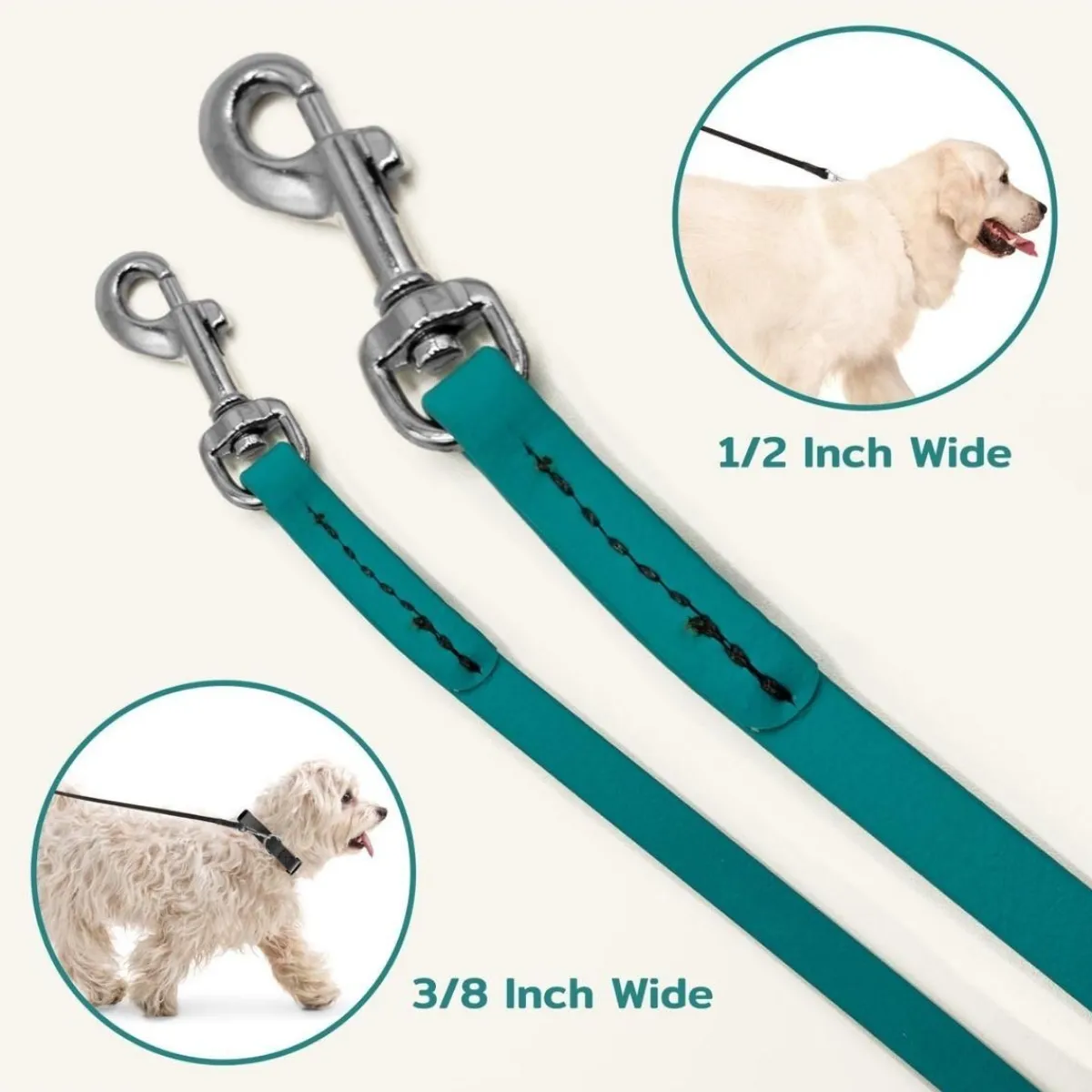 Ryan's Pet Supplies Jelly Pet Leash Standard Dog Leash 3/8'' x 6'