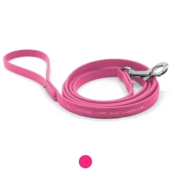 Ryan's Pet Supplies Jelly Pet Leash Standard Dog Leash 3/8'' x 6'
