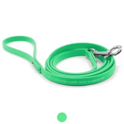 Ryan's Pet Supplies Jelly Pet Leash Standard Dog Leash 3/8'' x 6'