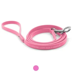 Ryan's Pet Supplies Jelly Pet Leash Standard Dog Leash 3/8'' x 6'