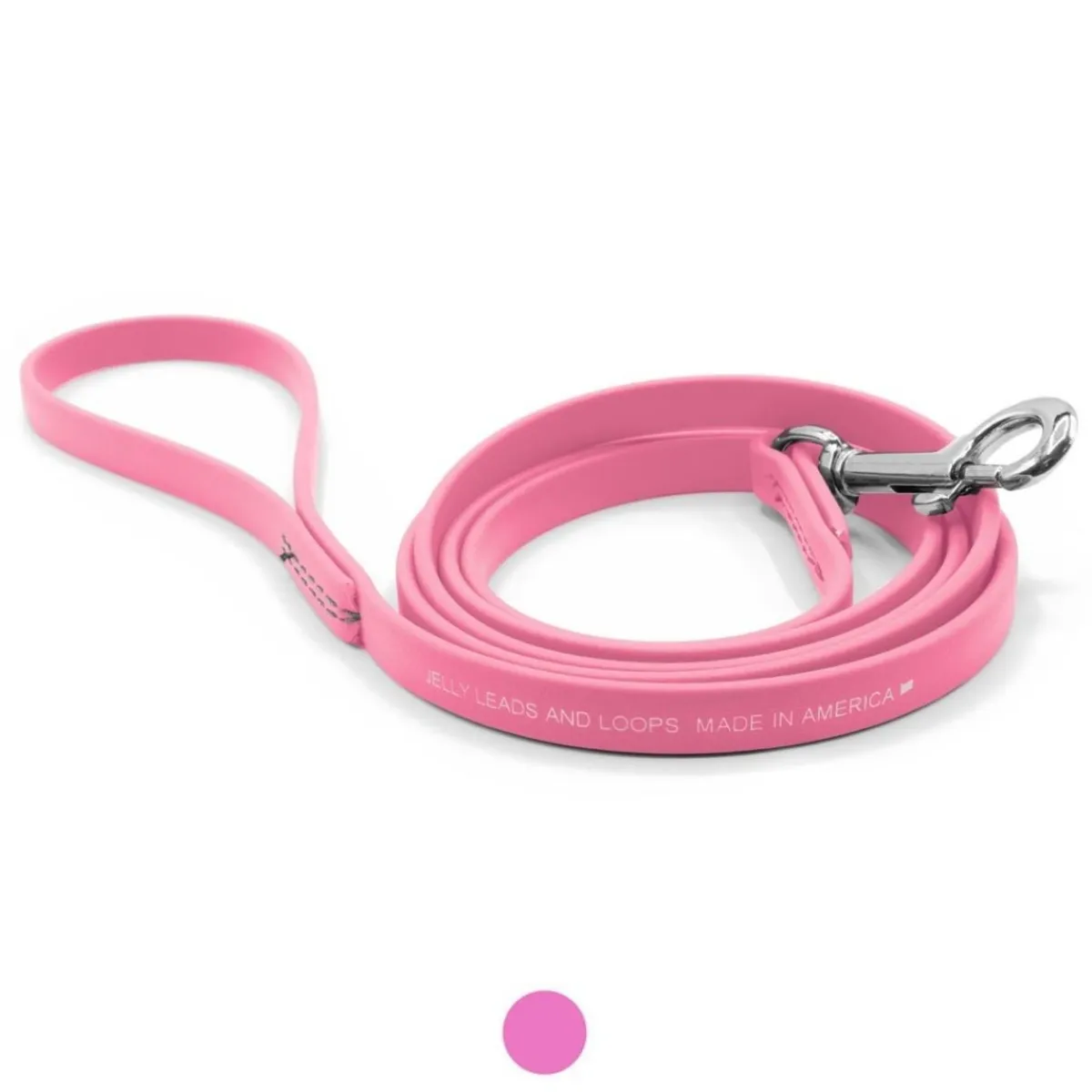 Ryan's Pet Supplies Jelly Pet Leash Standard Dog Leash 3/8'' x 6'