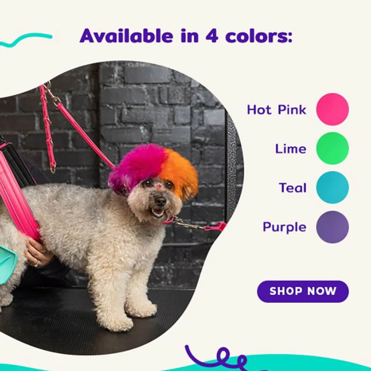 Ryan's Pet Supplies Jelly Pet Pro Pack