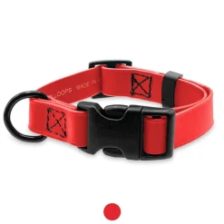 Ryan's Pet Supplies Jelly Pet Small Dog Collar 3/4" x 11''-16''