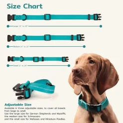 Ryan's Pet Supplies Jelly Pet Small Dog Collar 3/4" x 11''-16''
