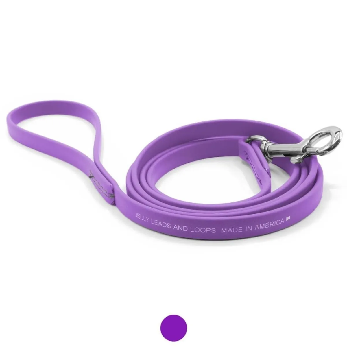 Ryan's Pet Supplies Jelly Pet Waterproof Standard Dog Leash - 1/2'' x 6'
