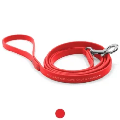 Ryan's Pet Supplies Jelly Pet Waterproof Standard Dog Leash - 1/2'' x 6'