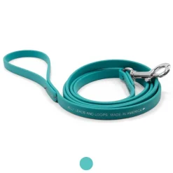 Ryan's Pet Supplies Jelly Pet Waterproof Standard Dog Leash - 1/2'' x 6'