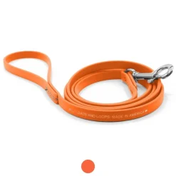 Ryan's Pet Supplies Jelly Pet Waterproof Standard Dog Leash - 1/2'' x 6'