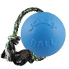 Ryan's Pet Supplies Jolly Pet Romp-n-Roll Blueberry Medium